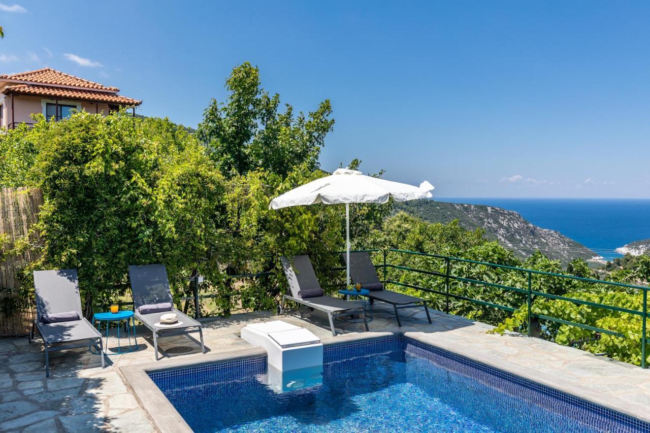 Villa Margini, Aegean Views , Pool Villa, Skopelos Exterior photo